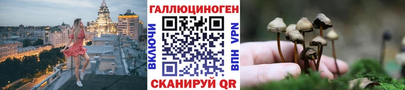 Галлюциногенные грибы Psilocybine cubensis  Узловая 